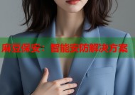麻豆保安：智能安防解决方案