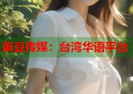 麻豆传媒：台湾华语平台