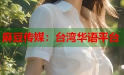 麻豆传媒：台湾华语平台