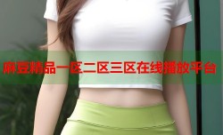 麻豆精品一区二区三区在线播放平台