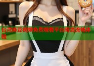 台湾麻豆视频免费观看平台高清流畅体验