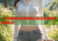一本到视频在线观看麻豆高清资源极速播放体验