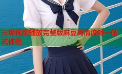 三级视频播放完整版麻豆高清流畅一站式体验