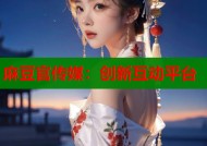 麻豆官传媒：创新互动平台