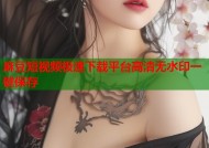麻豆短视频极速下载平台高清无水印一键保存