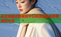 麻豆使媒试看视频平台高清流畅免费看精彩内容