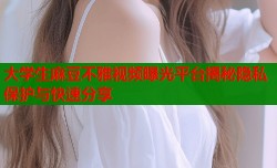 大学生麻豆不雅视频曝光平台揭秘隐私保护与快速分享