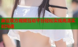 麻豆双方视频互动平台轻松实现高清实时沟通