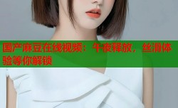国产麻豆在线视频：午夜释放，丝滑体验等你解锁