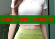 麻豆理论片在线看，尽享精选内容