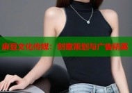 麻豆文化传媒：创意策划与广告精英