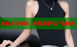 麻豆文化传媒：创意策划与广告精英