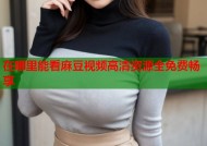 在哪里能看麻豆视频高清资源全免费畅享