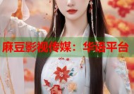 麻豆影视传媒：华语平台