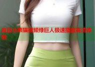 麻豆小熊猫视频绿巨人极速播放高清体验