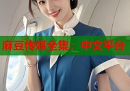 麻豆传媒全集：中文平台
