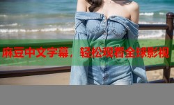 麻豆中文字幕，轻松观看全球影视