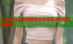 无遮无挡三级视频麻豆尽享高清体验无限畅看