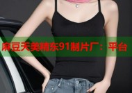 麻豆天美精东91制片厂：平台