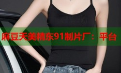 麻豆天美精东91制片厂：平台