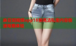 麻豆短视频app18禁高清私密内容极速观看体验