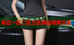 麻豆一区二区三区精品视频大全