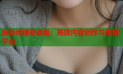 麻豆传媒安卓版：高效内容创作与传播平台