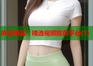 麻豆精品：精选视频推荐平台(1)