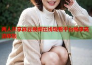 两人共享麻豆视频在线观看平台畅享高清体验