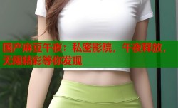 国产麻豆午夜：私密影院，午夜释放，无限精彩等你发现