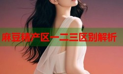 麻豆精产区一二三区别解析
