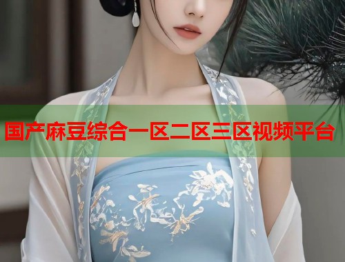 国产麻豆综合一区二区三区视频平台  第2张