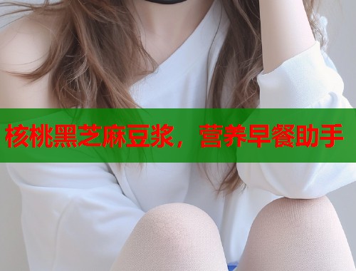 核桃黑芝麻豆浆，营养早餐助手  第2张