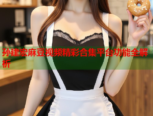 孙建宏麻豆视频精彩合集平台功能全解析  第1张