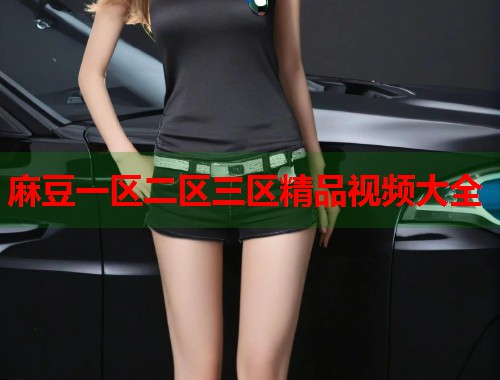 麻豆一区二区三区精品视频大全  第1张