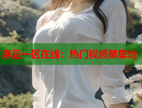 麻豆一区在线：热门视频聚集地  第1张