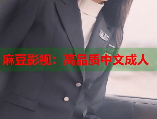 麻豆影视：高品质中文成人  第1张