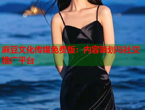 麻豆文化传媒免费版：内容策划与社交推广平台  第2张